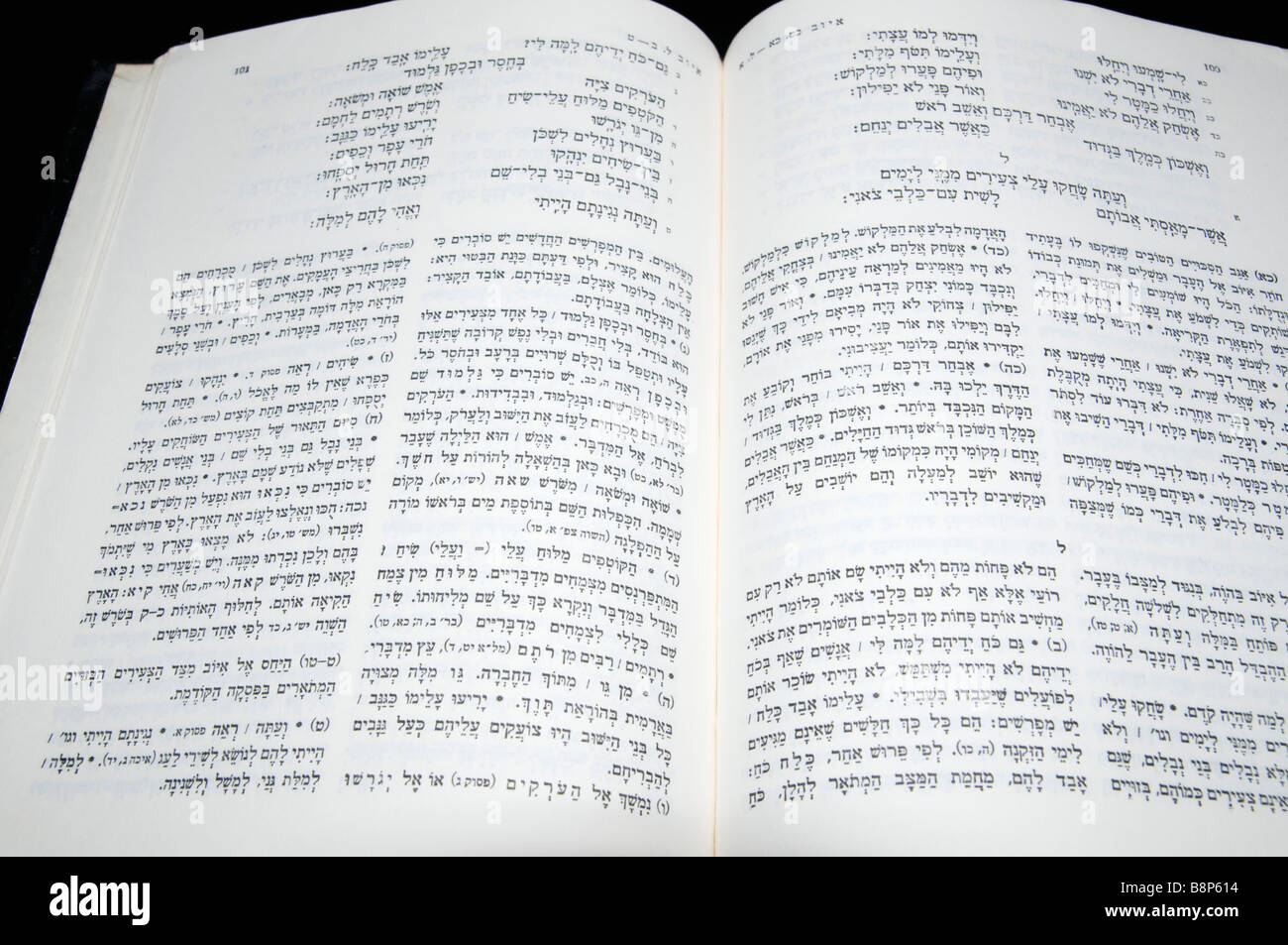 La Santa Biblia con comentarios Fotografía de stock - Alamy