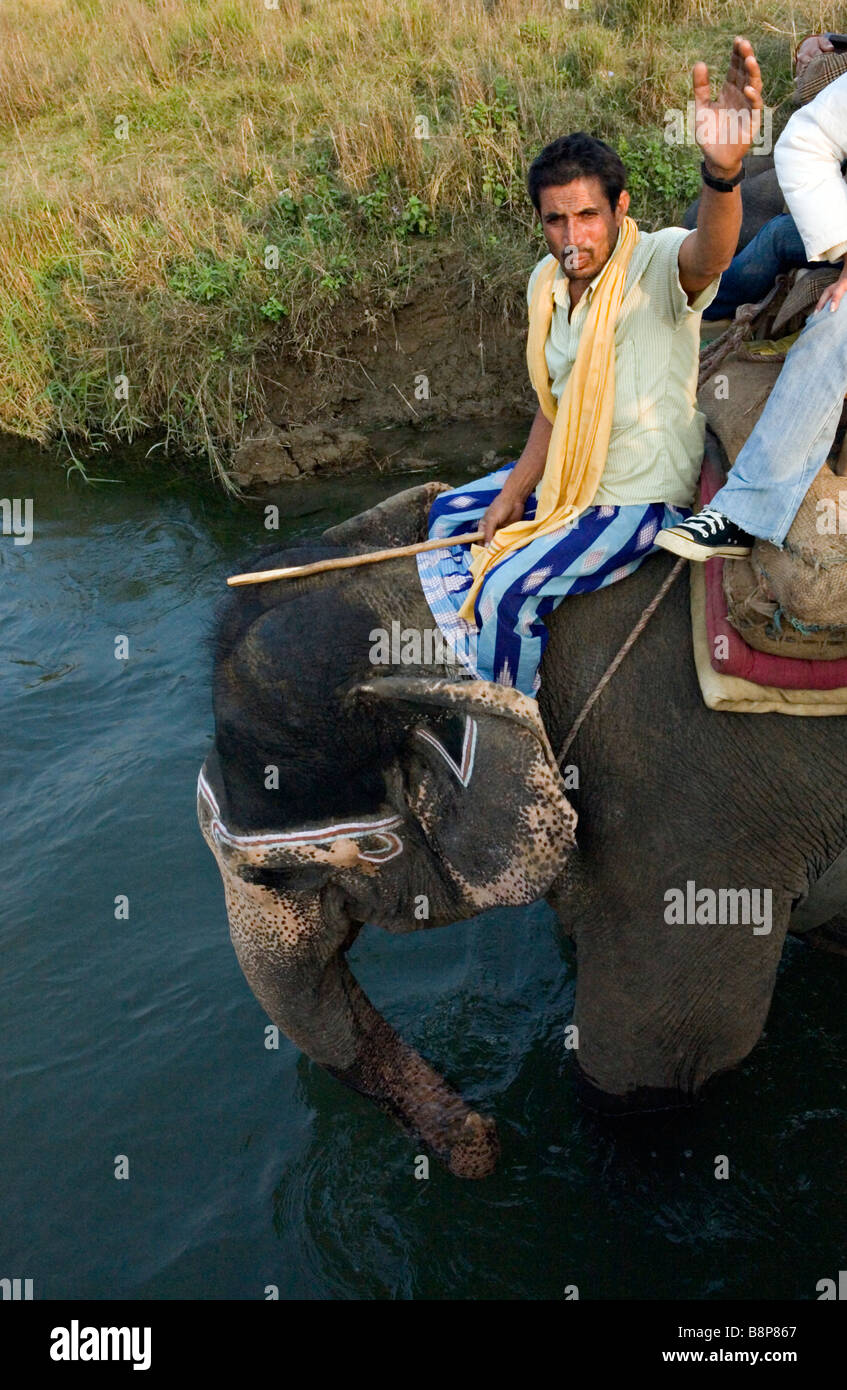Los paseos en elefante son una de las principales atracciones de Chitwan en el Real Parque Nacional de Chitwan en Nepal Foto de stock