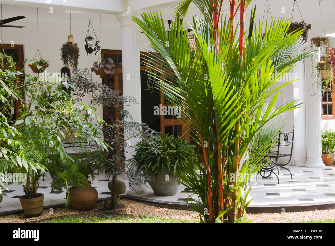 Un rústico patio tropical & Garden en una villa en Sri Lanka, con techo de palma de cera roja mostrar estilo típico "Bawa'. Foto de stock
