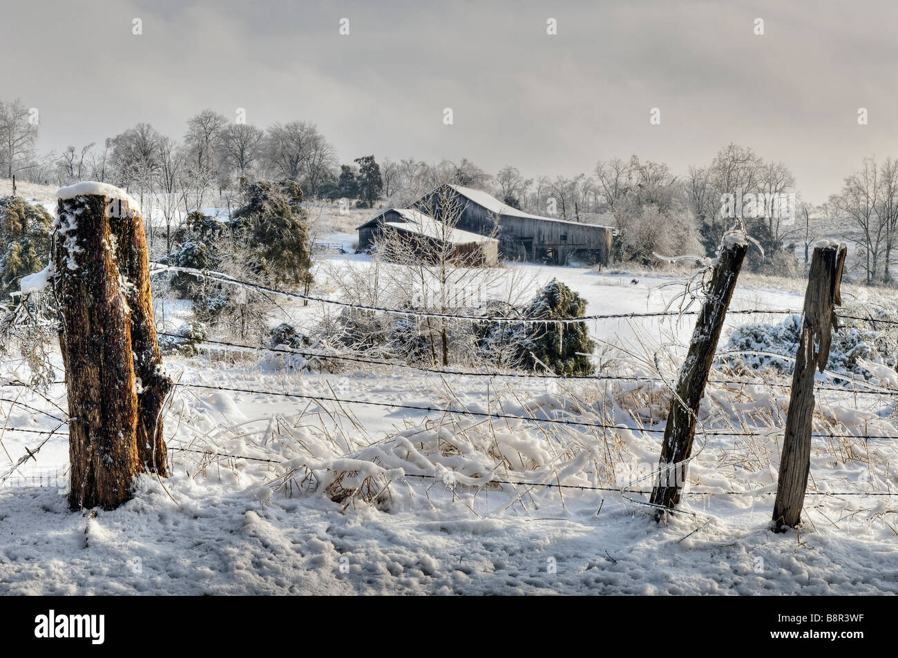 Granja del medio oeste cubierto de nieve y hielo después de la tormenta de hielo en Harrison County Indiana Foto de stock