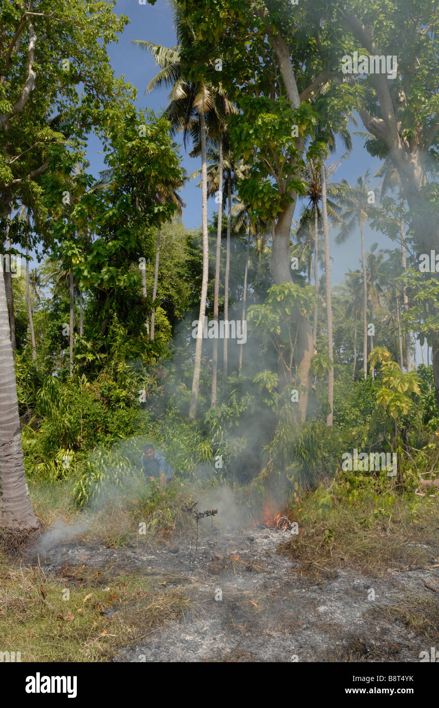 Fuego ardiendo sotobosque Pulau Sibuan Semporna Sabah Malasia Borneo del sudeste de Asia Foto de stock