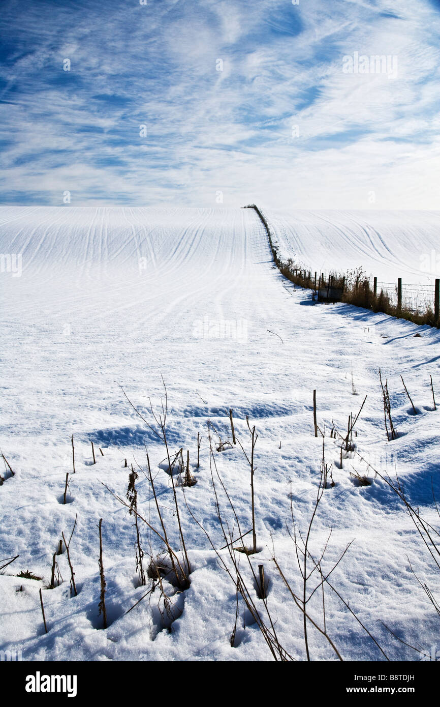 Un invierno con nieve soleada con vistas al paisaje o escena mostrando un campo cubierto de nieve y la formación de nubes cirrus en un cielo azul Foto de stock