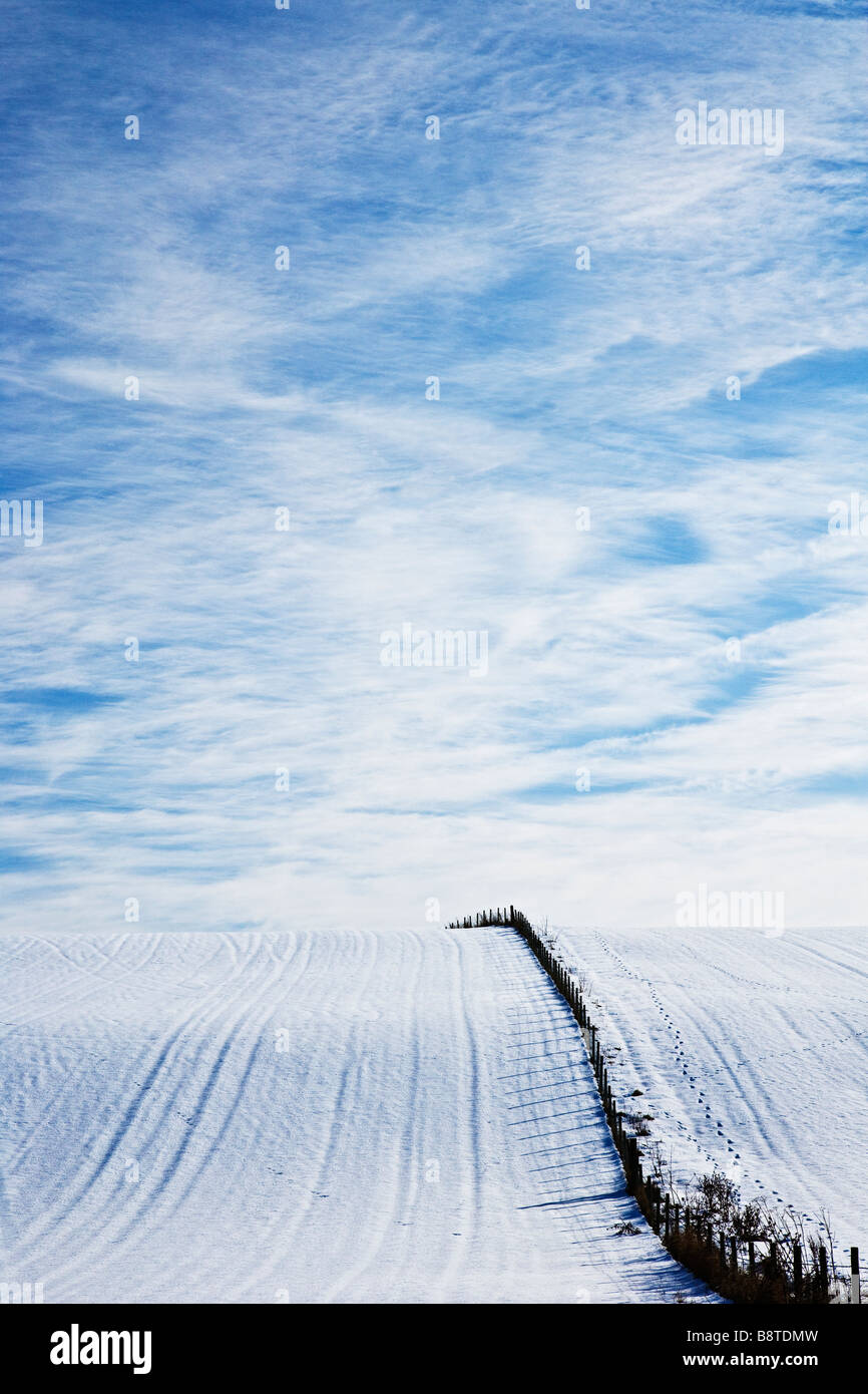 Un invierno con nieve soleada con vistas al paisaje o escena mostrando un campo cubierto de nieve y la formación de nubes cirrus en un cielo azul Foto de stock