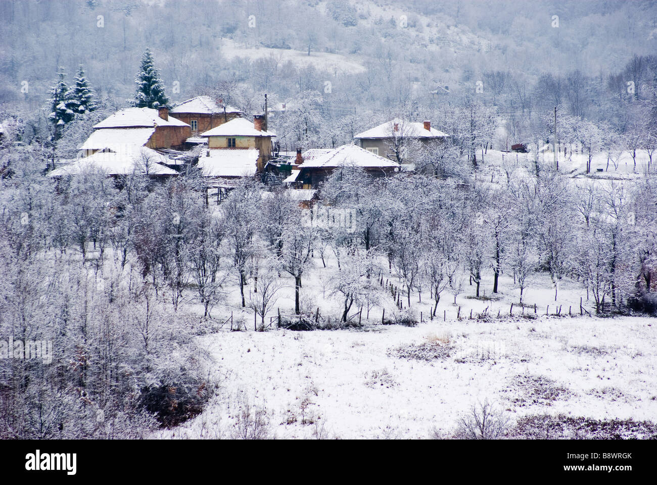 nieve Foto de stock