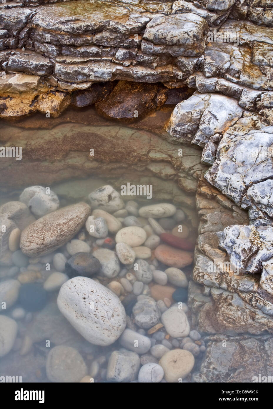 Rockpool en un estante de piedra caliza encontrados en las orillas del "Wherry' una cala en el South Tyneside costa cerca de South Shields Foto de stock