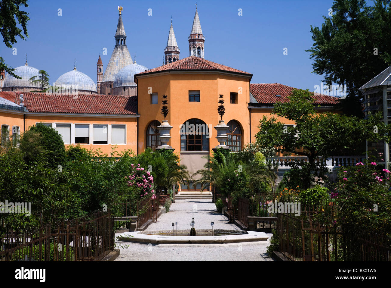 Jardín botánico en frente de un edificio, Orto Botanico di Padova, Padua, Venecia, Italia Foto de stock