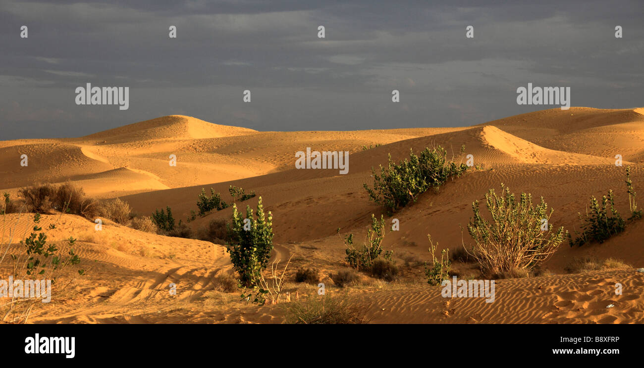 Desierto de Thar de Rajasthan India Sam Dunas de Arena Foto de stock