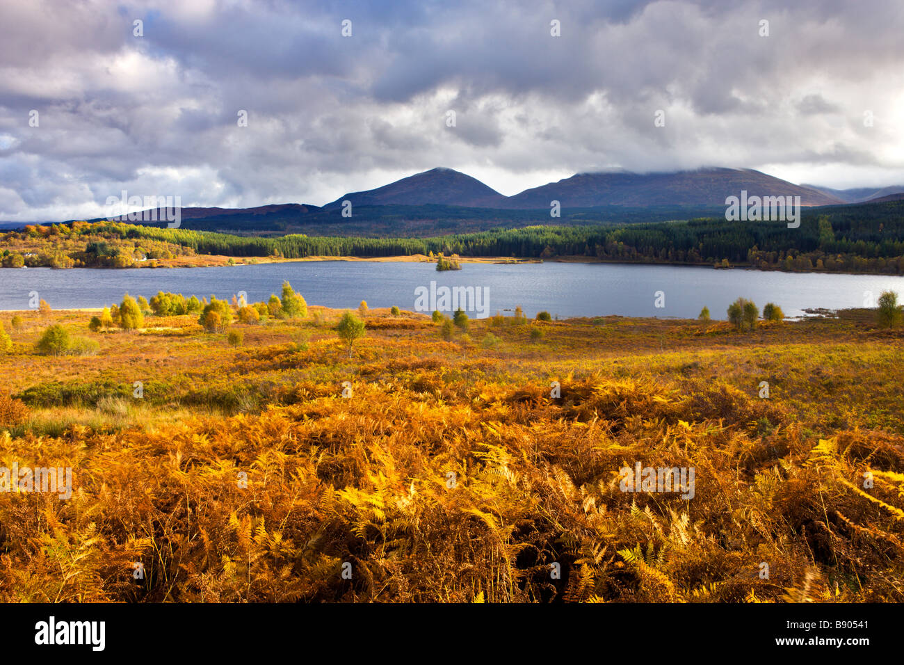 Colores de otoño rodean Loch Garry en las Tierras Altas de Escocia Escocia Foto de stock