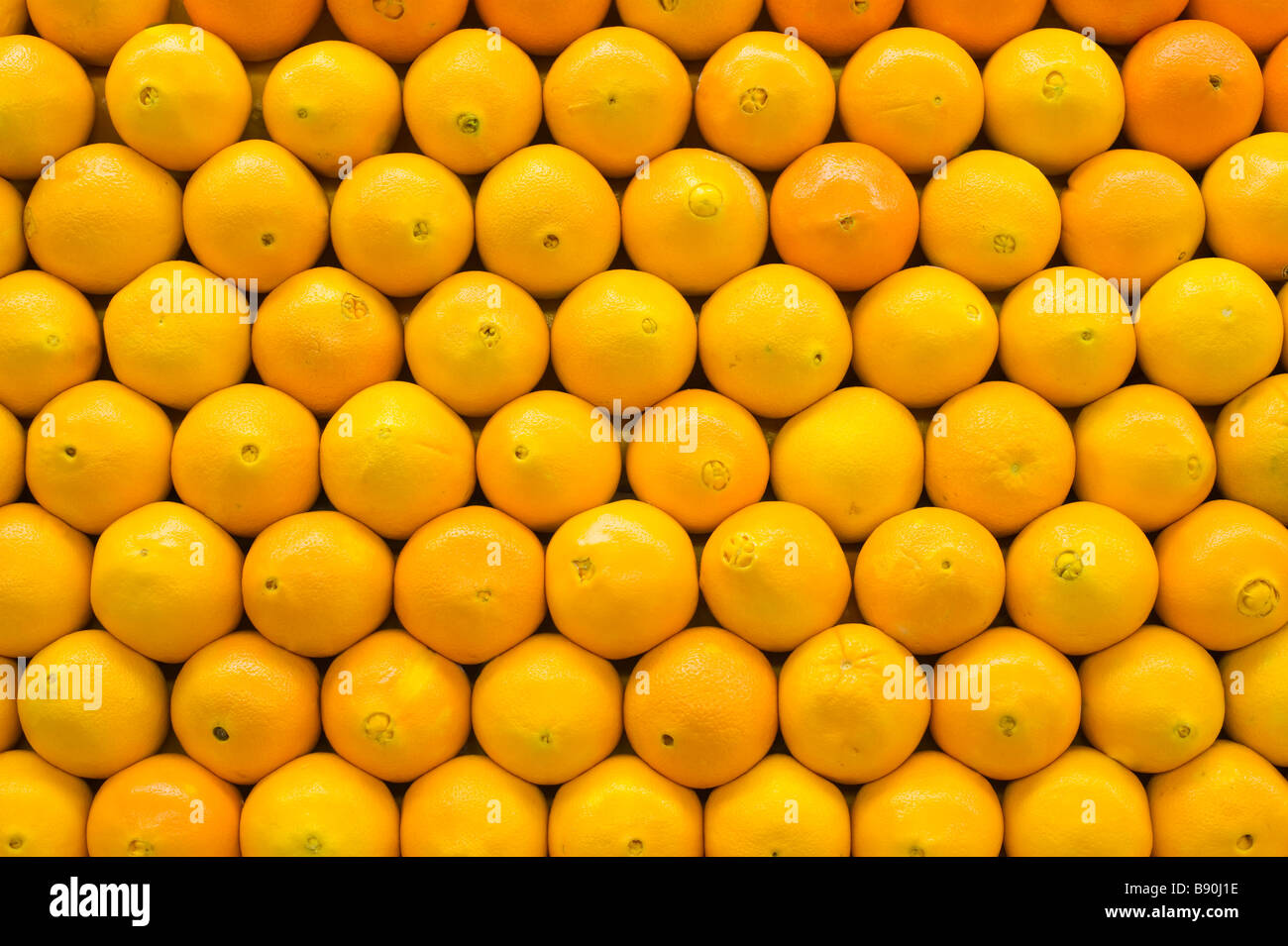 Las naranjas brillantes alineadas simétricamente Foto de stock