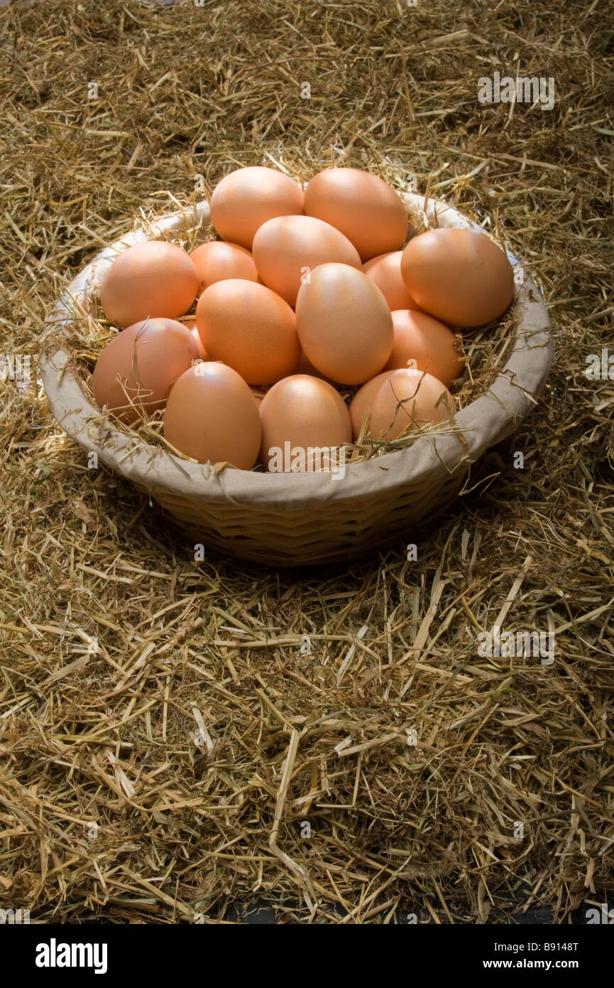 Brown, un surtido de huevos de gallina en una cesta sobre un fondo de paja Foto de stock