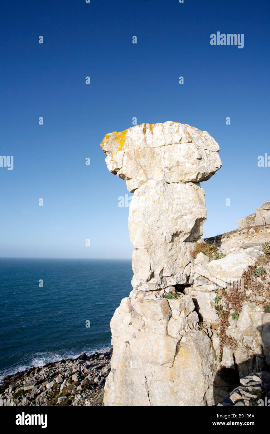 San Aldhelm Purbeck Limestone pila s jefe Foto de stock