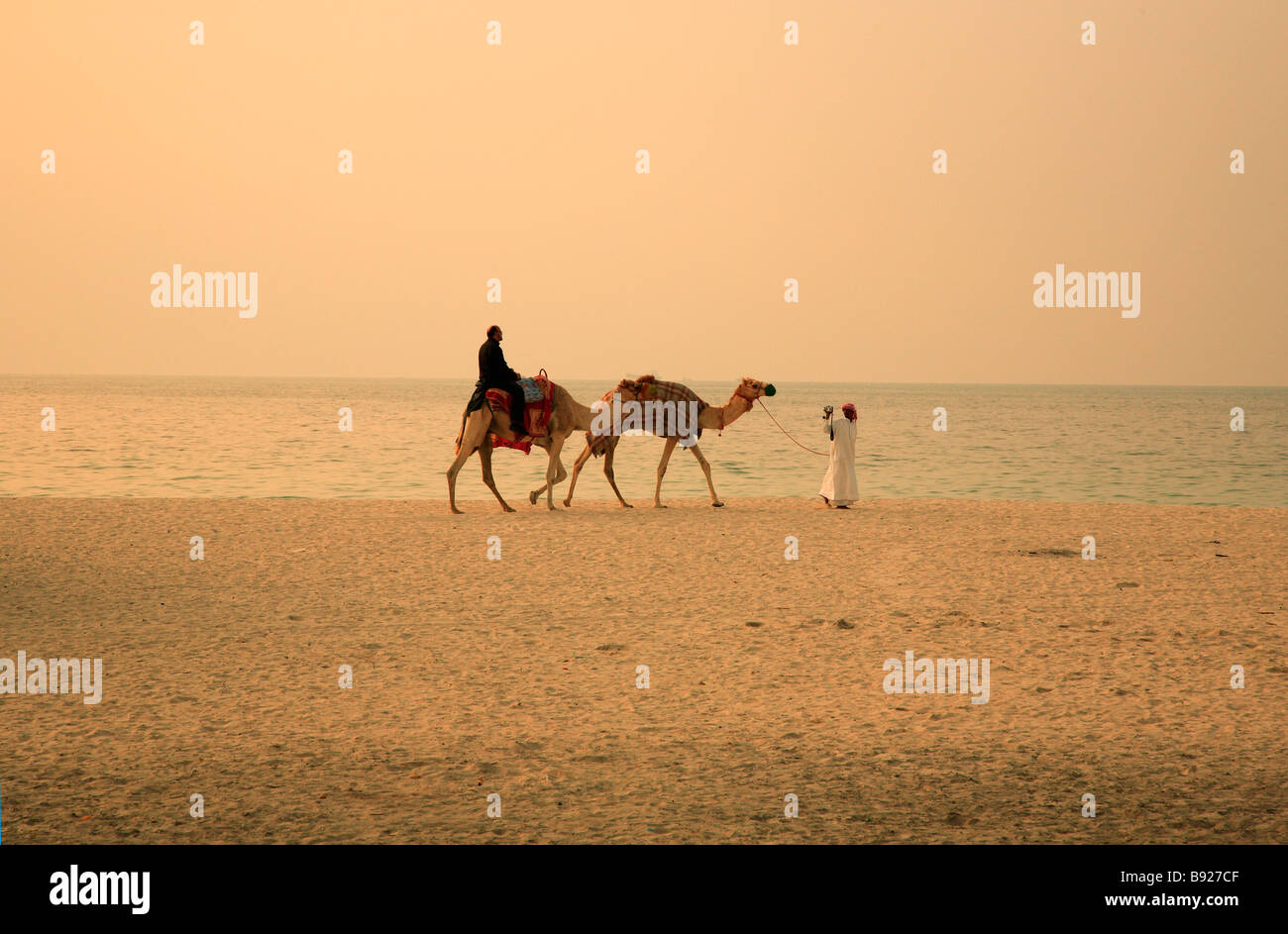 Un alto ángulo de visualización del hombre montado en un camello Camelus dromedarius Ajman Emiratos Arabes Unidos Foto de stock