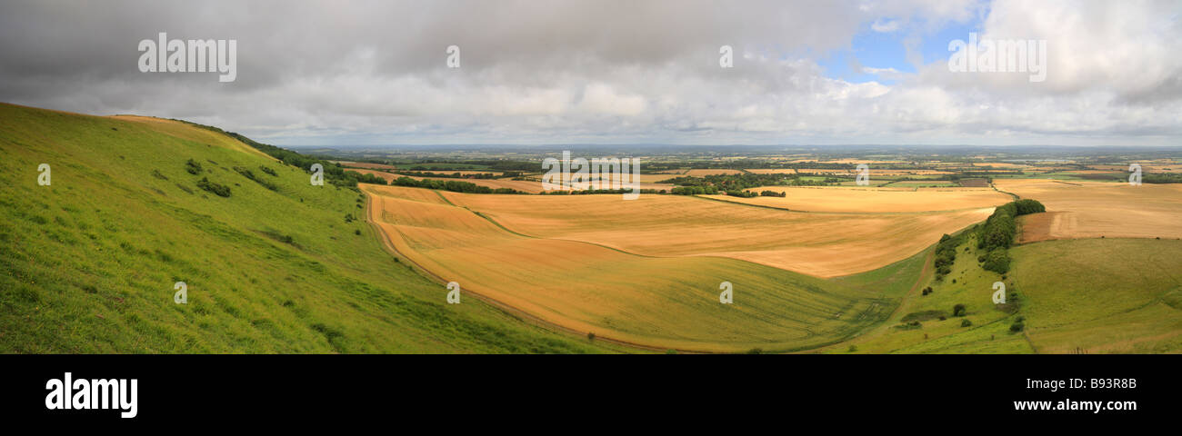 'South Downs' 'Sussex' campos verdes y amarillos. Campiña inglesa. Foto de stock