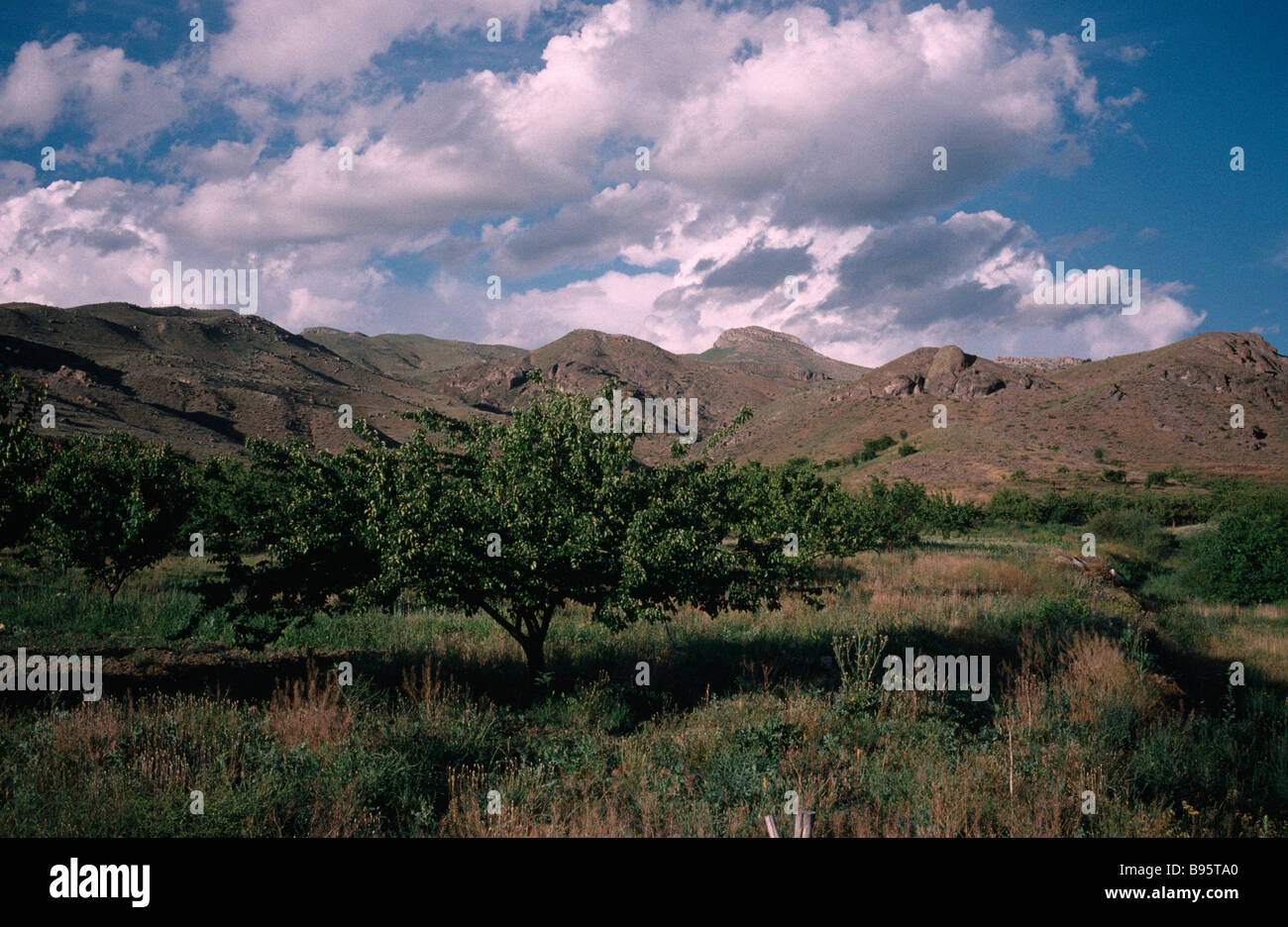 ARMENIA Asia Central Región Vaik fruta Agricultura La agricultura paisaje  CON HUERTO DE DAMASCO Fotografía de stock - Alamy