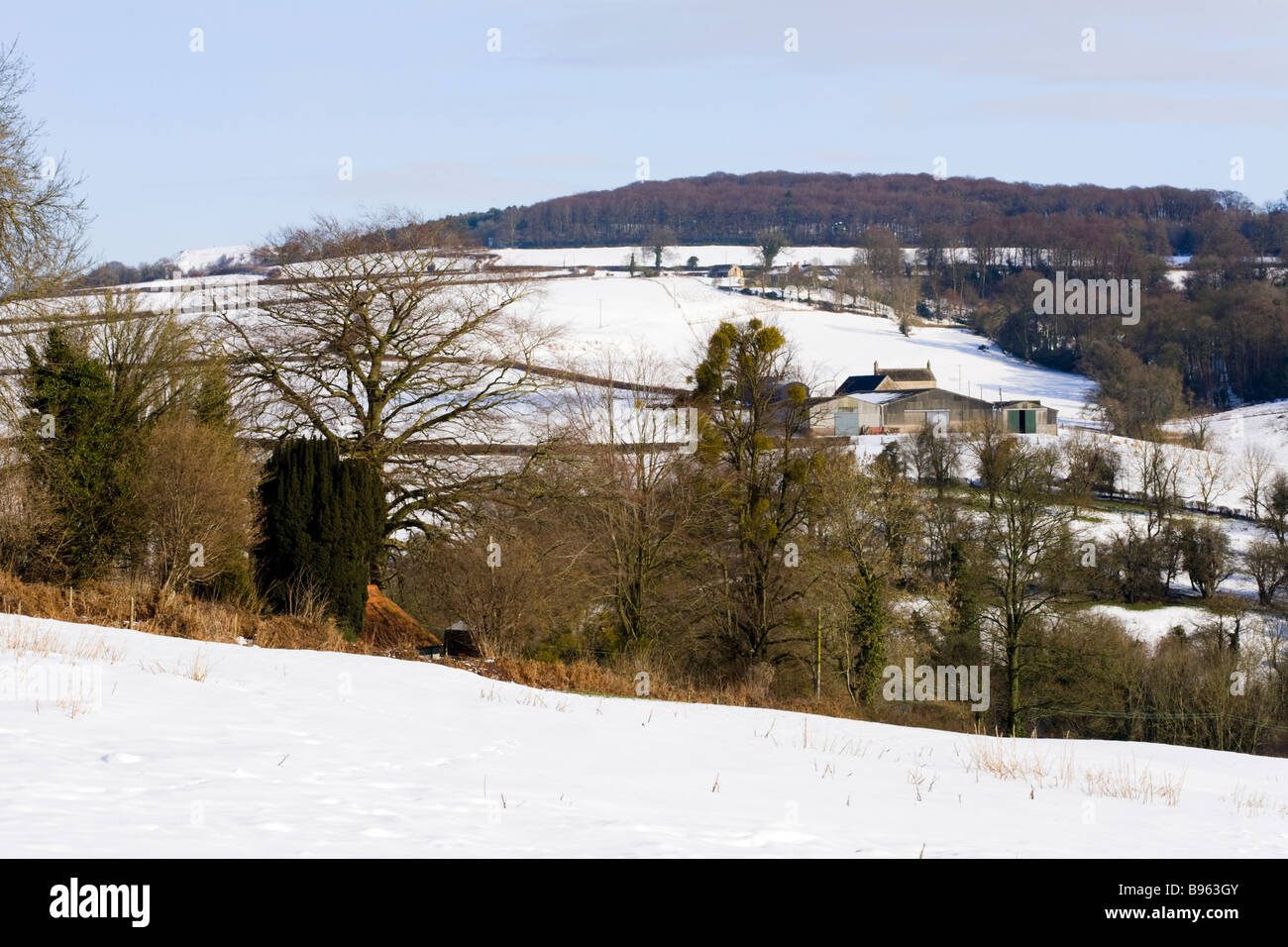 Invierno, la nieve en los Cotswolds en Highfold granja cerca de Painswick, Gloucestershire Foto de stock