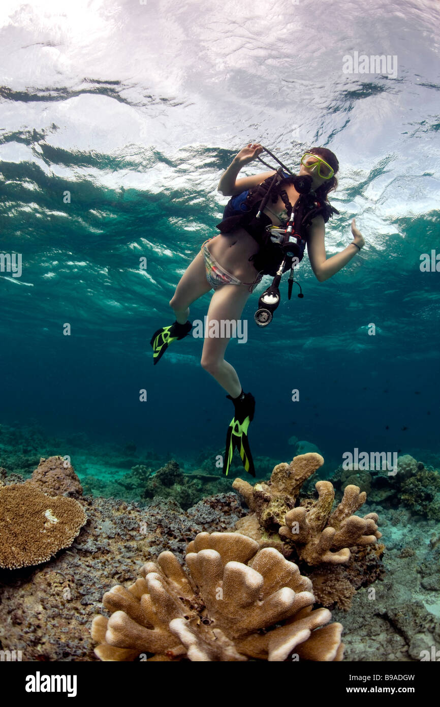 Un buceo una chica en bikini plantea sobre los arrecifes de coral en las aguas cálidas en el Barracuda Point cerca de Sipadan Island en Malasia Foto de stock