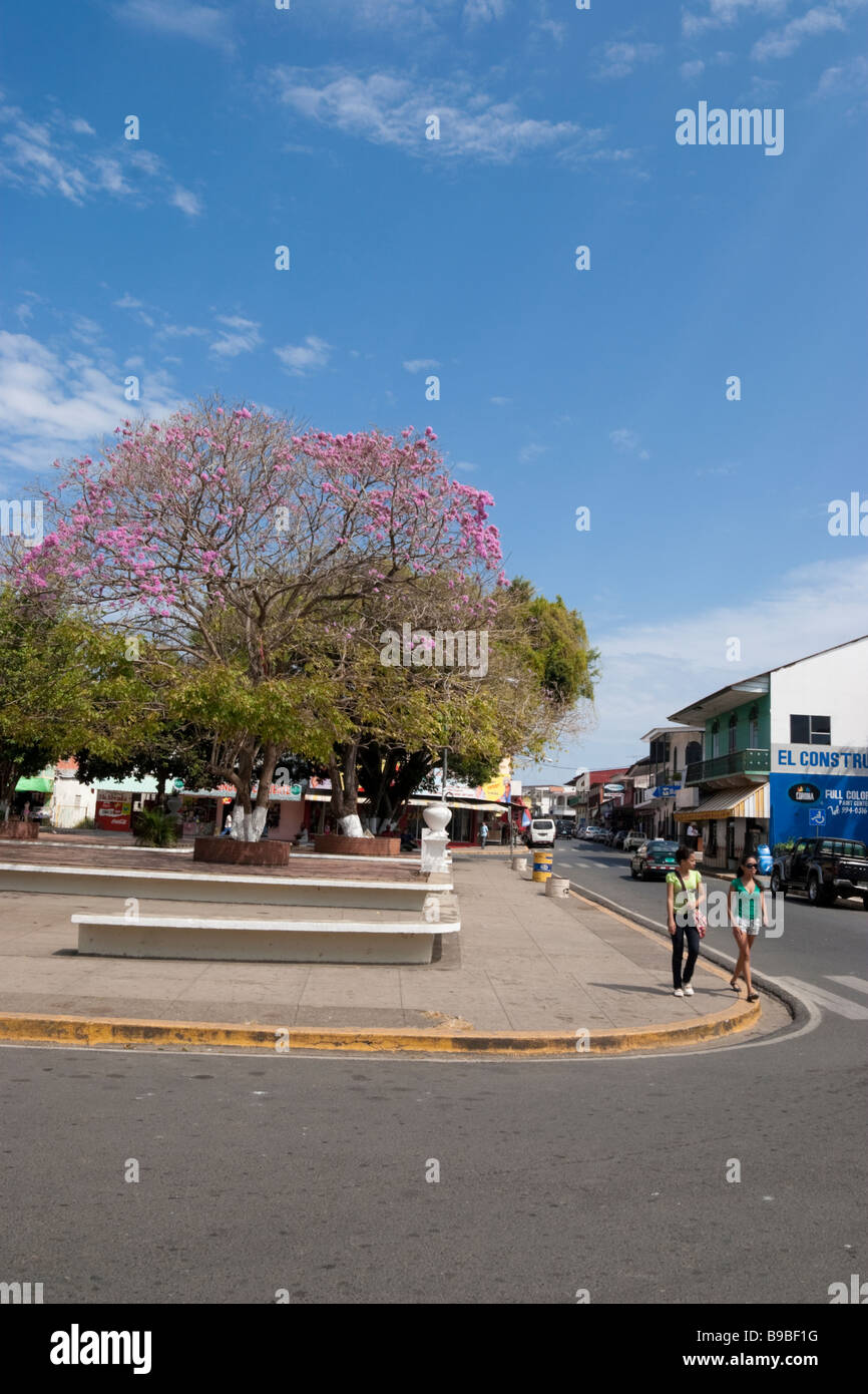 Las tablas del parque de la ciudad. Provincia de Los Santos, Azuero,  República de Panamá, América Central Fotografía de stock - Alamy