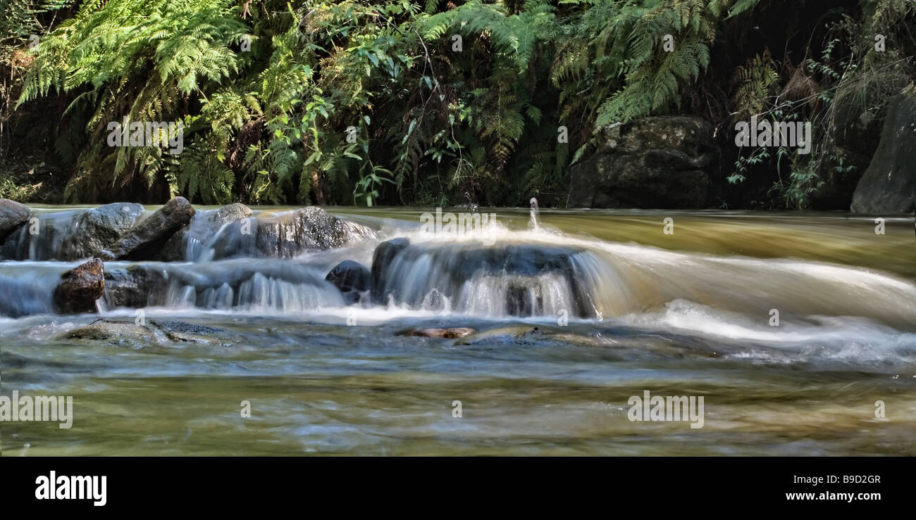 Gran imagen de agua dulce que fluye sobre las rocas en el arroyo Foto de stock
