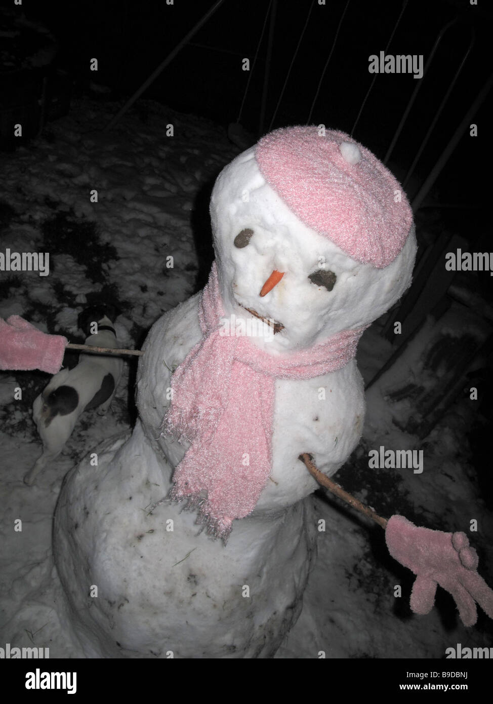 Muñeco de nieve en el jardín por la noche Fotografía de stock - Alamy