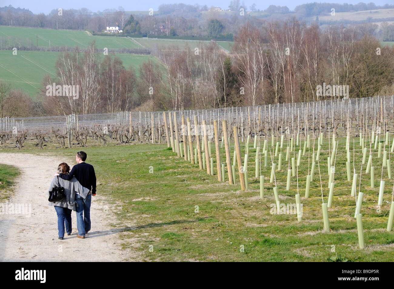 Caminar a través de la pareja al pequeño viñedo Tenterden Hythe Kent Inglaterra meridional Foto de stock