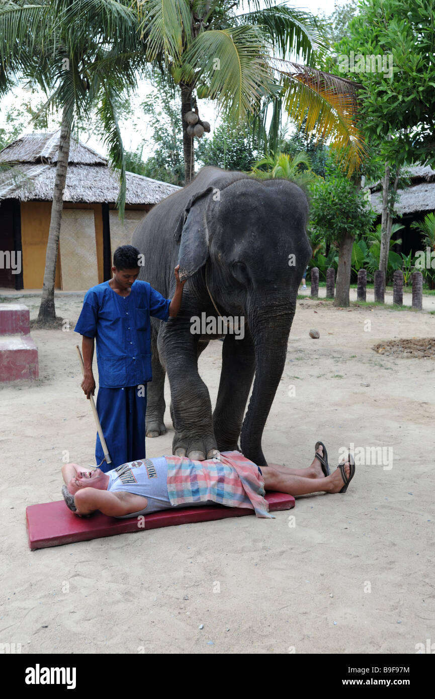 Con el manipulador de elefante dando un turista un masaje Foto de stock