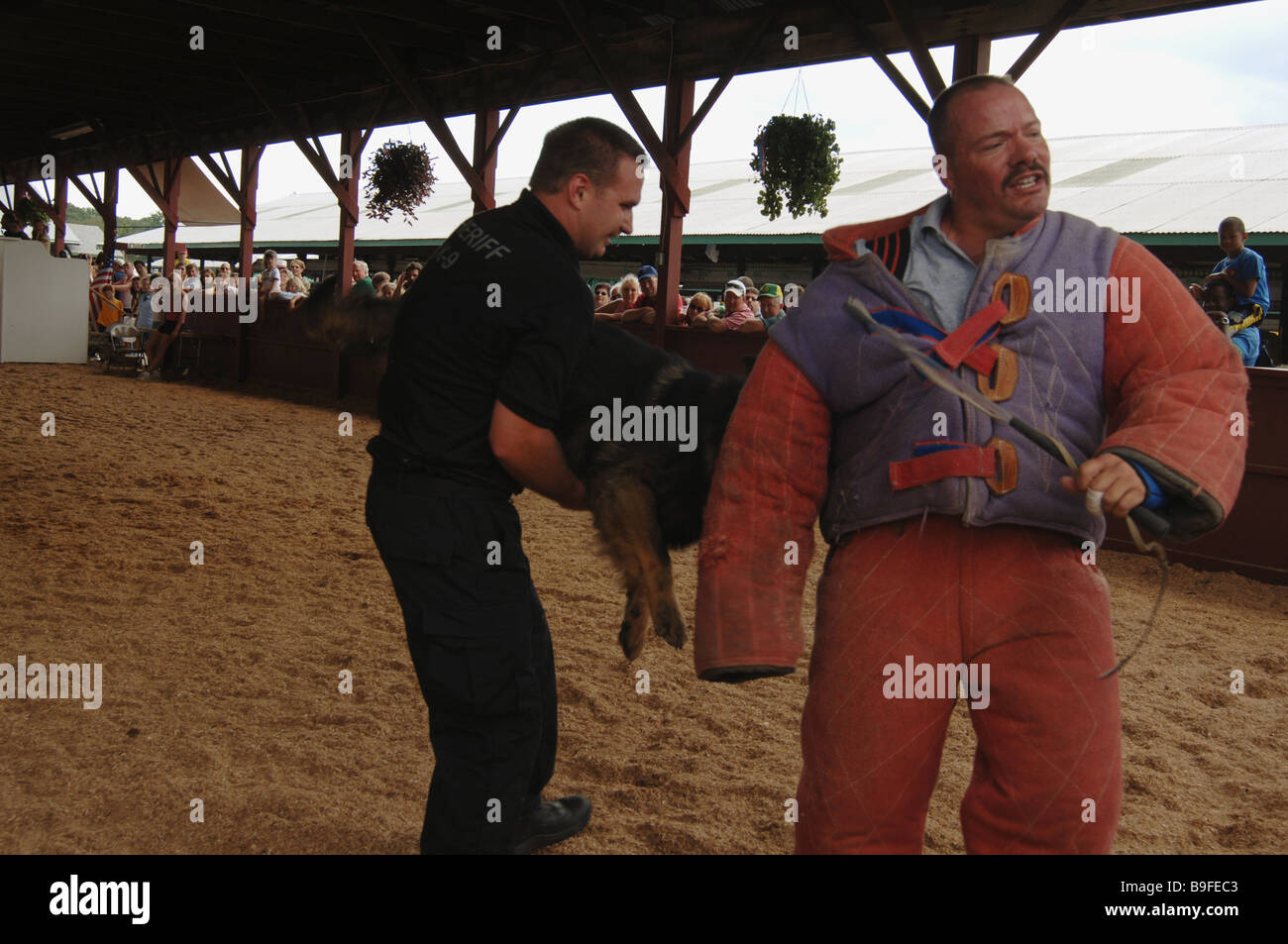 Perro policía del K9 unidad muestra cómo detener un criminal en la Feria del Condado de Dutchess en Rhinebeck New York Foto de stock