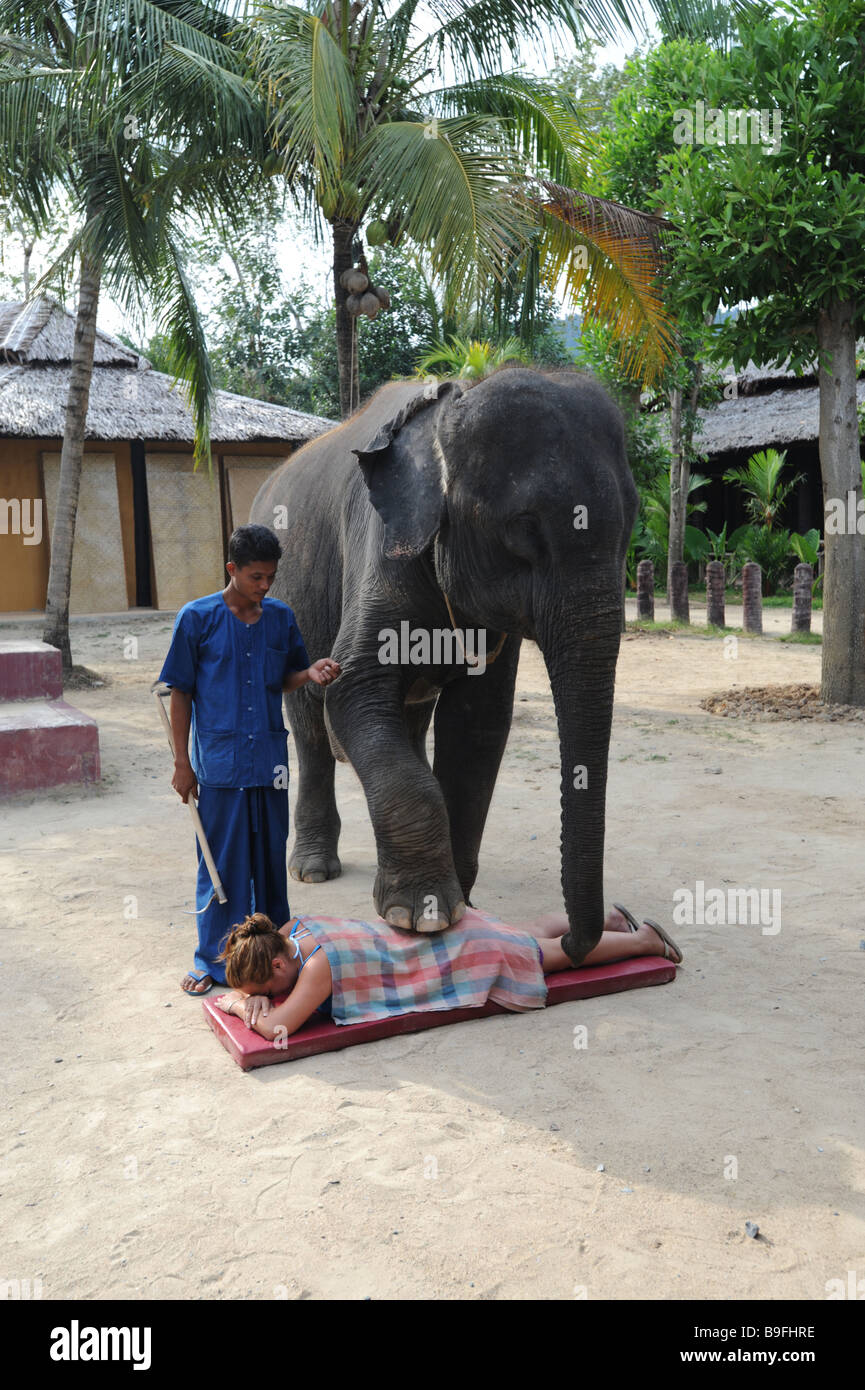 Controlador de elefante y un turista dando un masaje Foto de stock