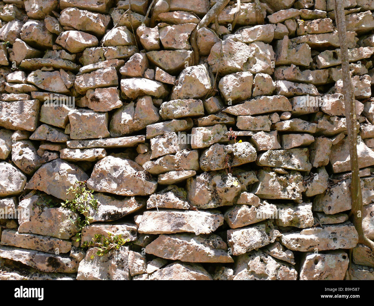 Muro De Piedra - Temu Mexico