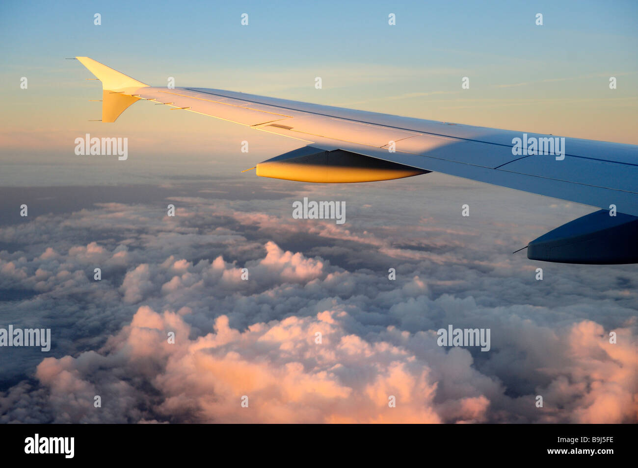 Alas, avión, Lufthansa Airbus A340-313X, por encima de las nubes al amanecer. Foto de stock