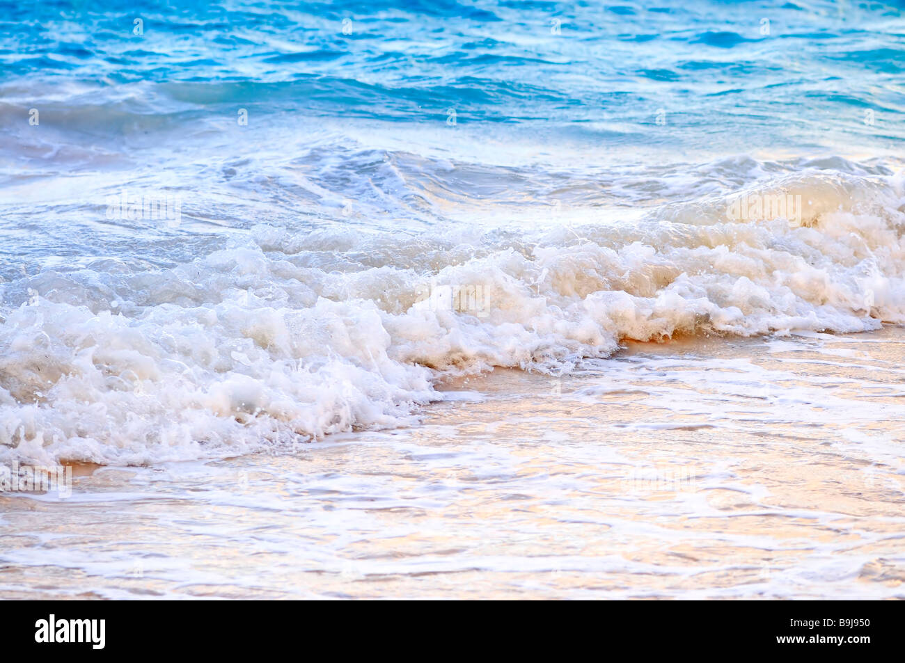 Mar Caribe Tropical olas rompiendo en la orilla Foto de stock