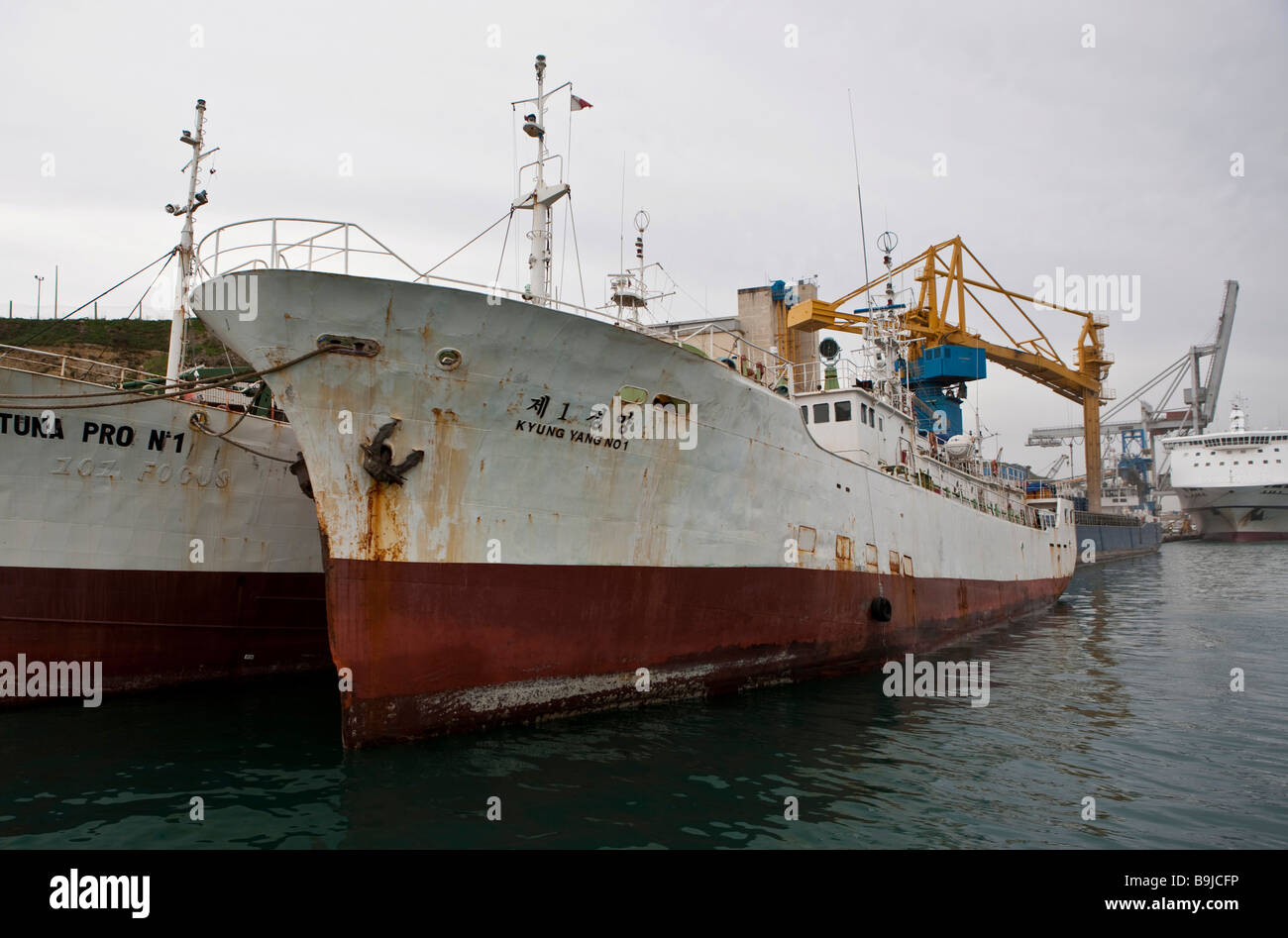Peces japoneses confiscados de arrastreros que pescan en las aguas alrededor de Malta ilegalmente, Valletta, Malta, Europa Foto de stock