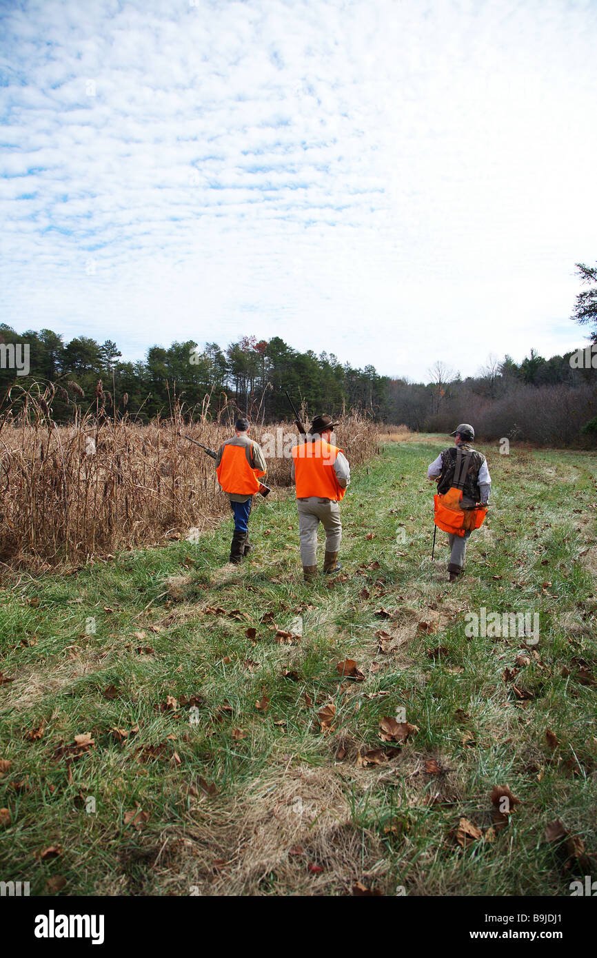 Guía de caza lleva dos cazadores de aves naranja con pistolas a través de un campo abierto Foto de stock
