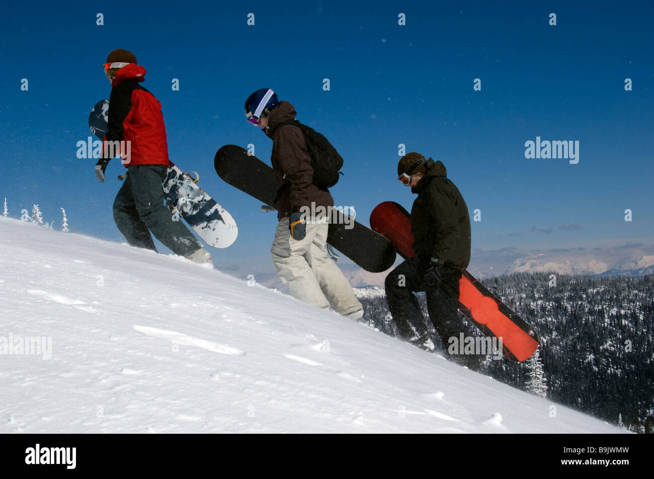 Tres hombres jóvenes subir una montaña nevada con sus tablas de snowboard  en el parque Fotografía de stock - Alamy