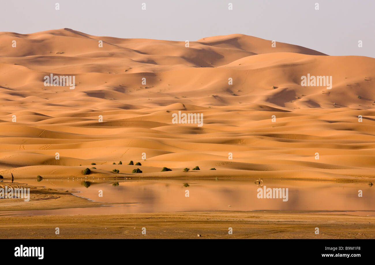Lago temporal y Dunas del Erg Chebbi : altas dunas de arena del desierto del Sáhara Marroquí tras muy húmedas en invierno primavera 2009 Marruecos Foto de stock
