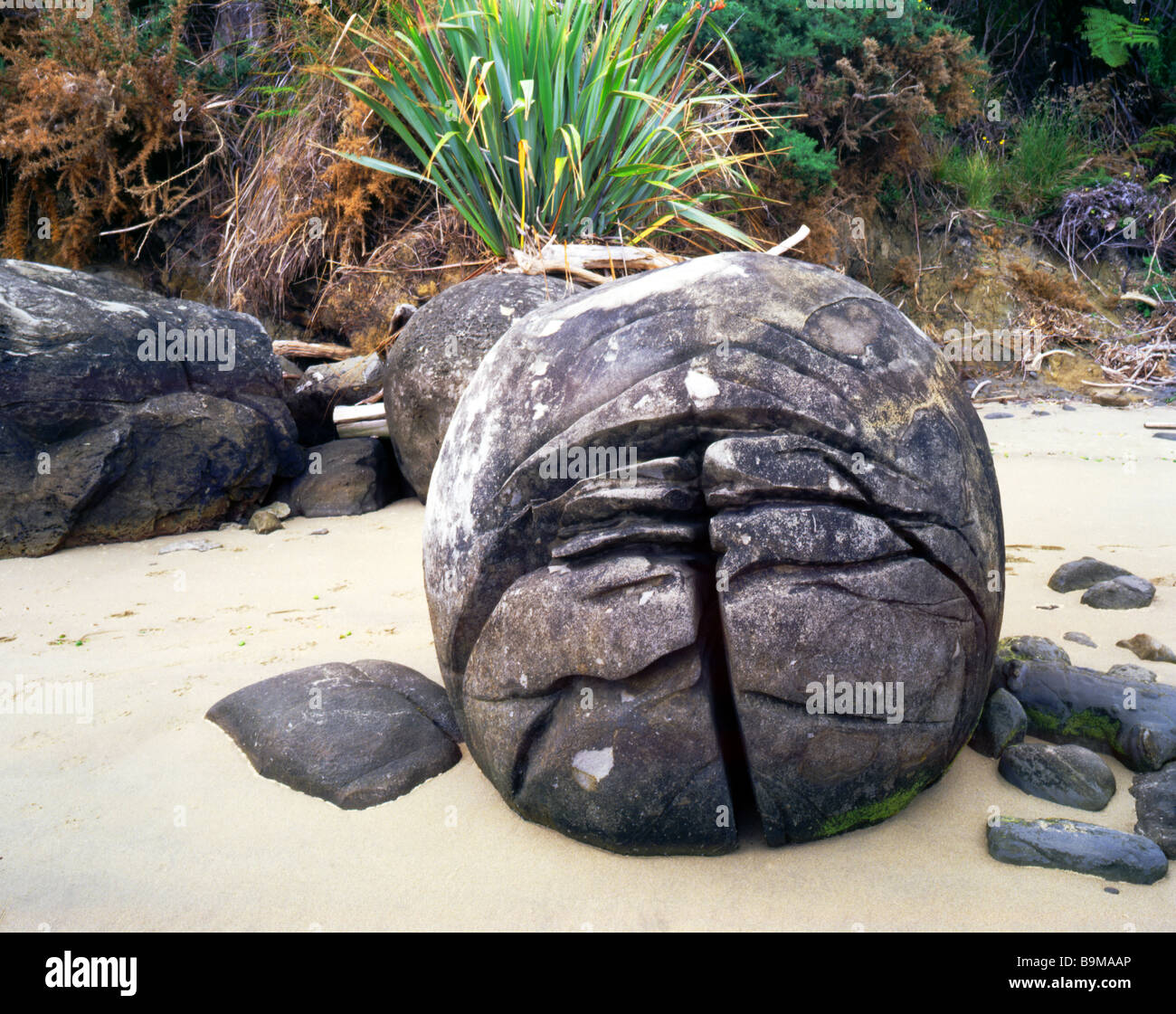 Koutu boulder concreción split on Onoke beach, Nueva Zelanda Foto de stock