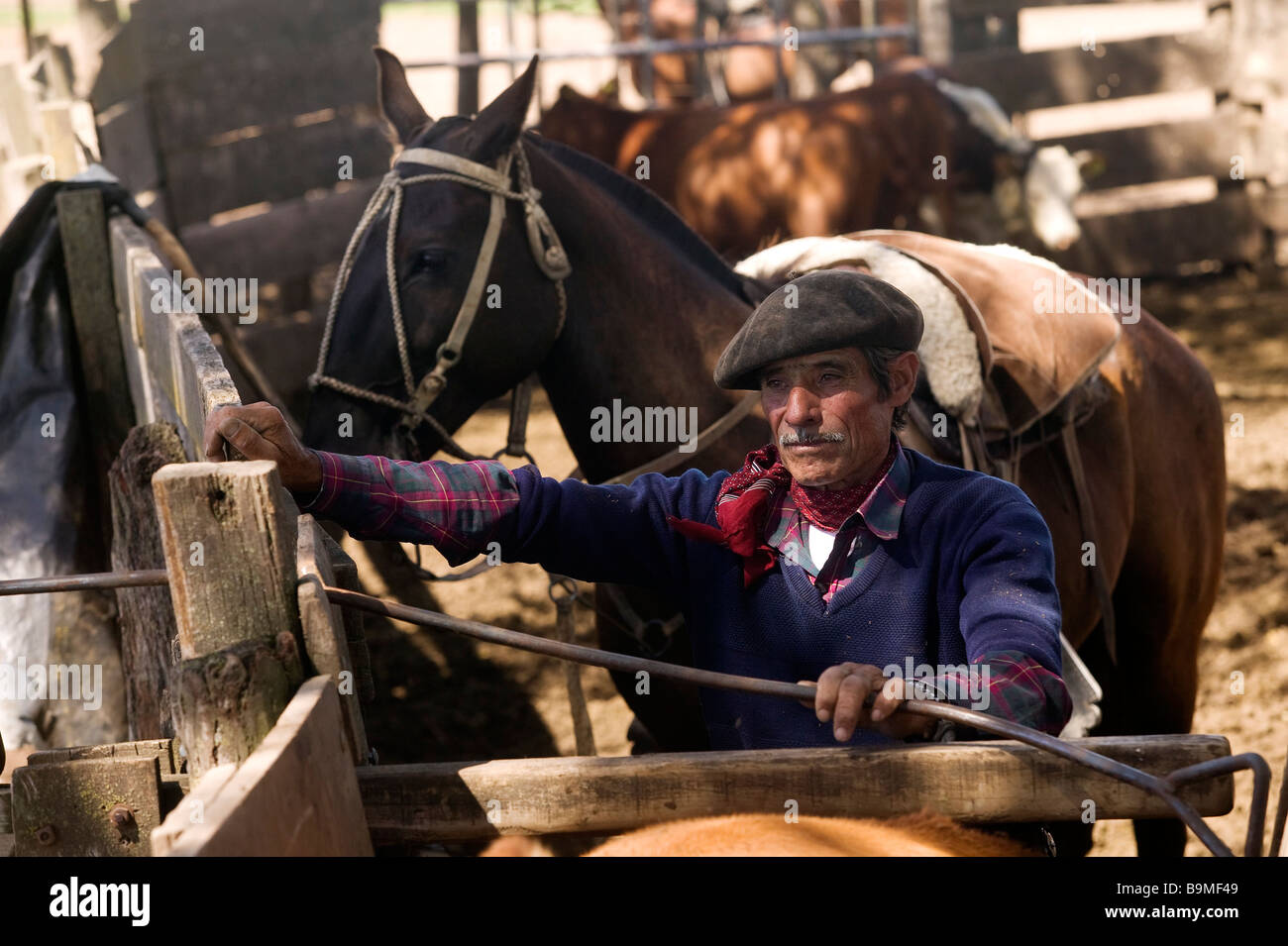 Argentina Gaucho Em Cavalo Usando Telefone Celular Imagem de Stock - Imagem  de chapéu, festa: 222666767
