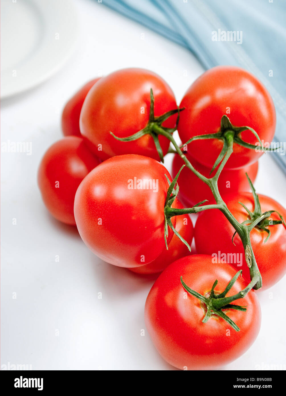 Los tomates en la vid Foto de stock