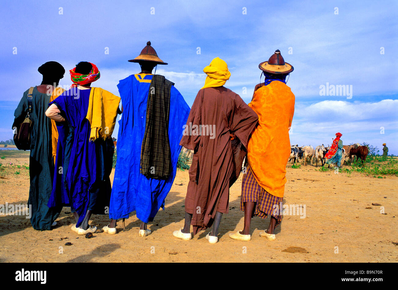 Malí, región de Mopti, Sofara fula, rebaños trashumantes, cruce del río Bani, pastores Foto de stock