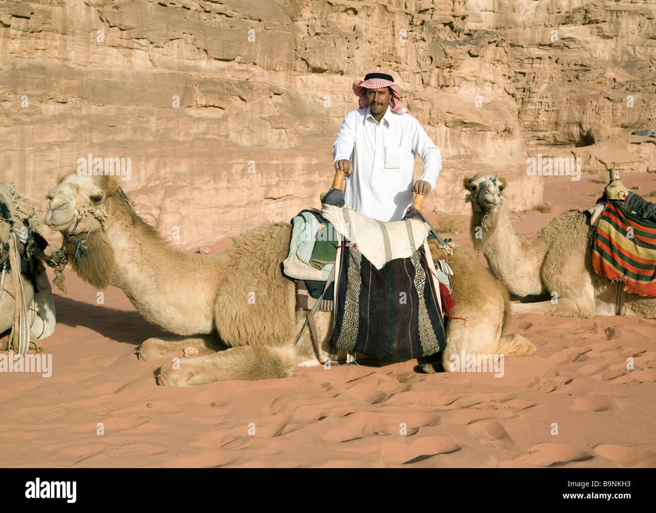 Un beduino y sus camellos, Wadi Rum, Jordania Foto de stock