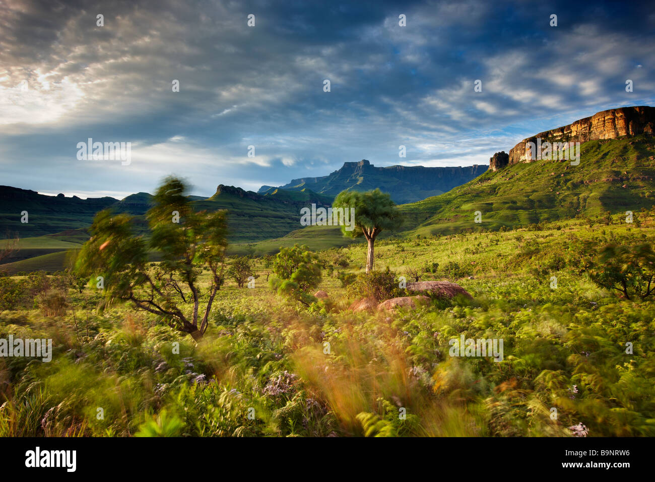 El Anfiteatro, el Parque Nacional Royal Natal, montañas Drakensberg, KwaZulu Natal, Sudáfrica Foto de stock