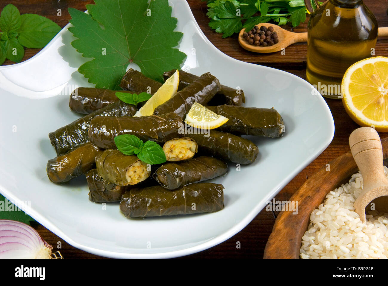 Las hojas de parra rellenas Dolmades Países Árabe Árabe cocinar comida