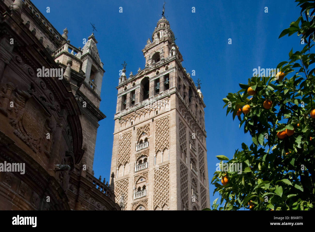 La Giralda, en la Catedral de Sevilla en Sevilla España Foto de stock
