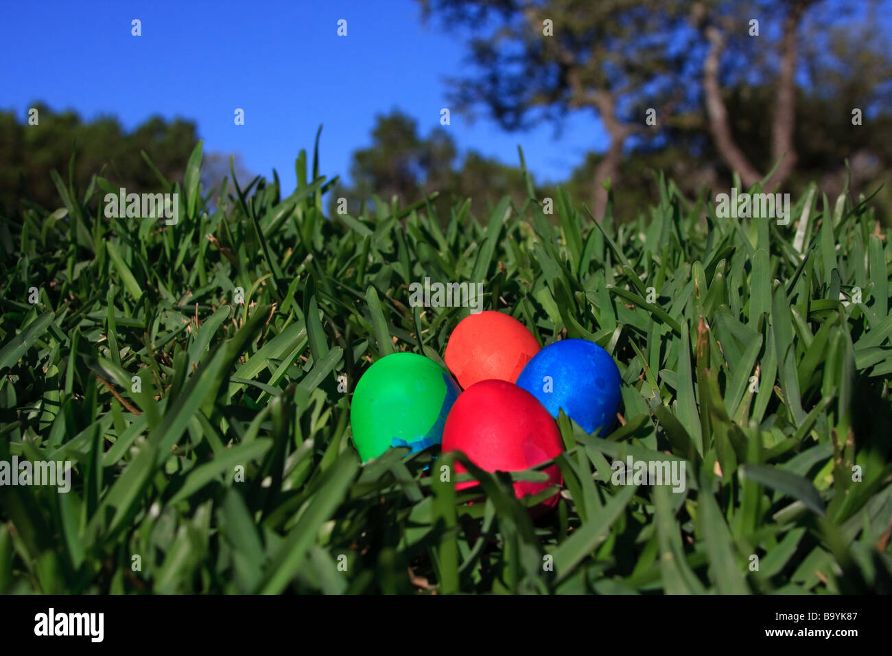 Los huevos de Pascua en la hierba. Foto de stock