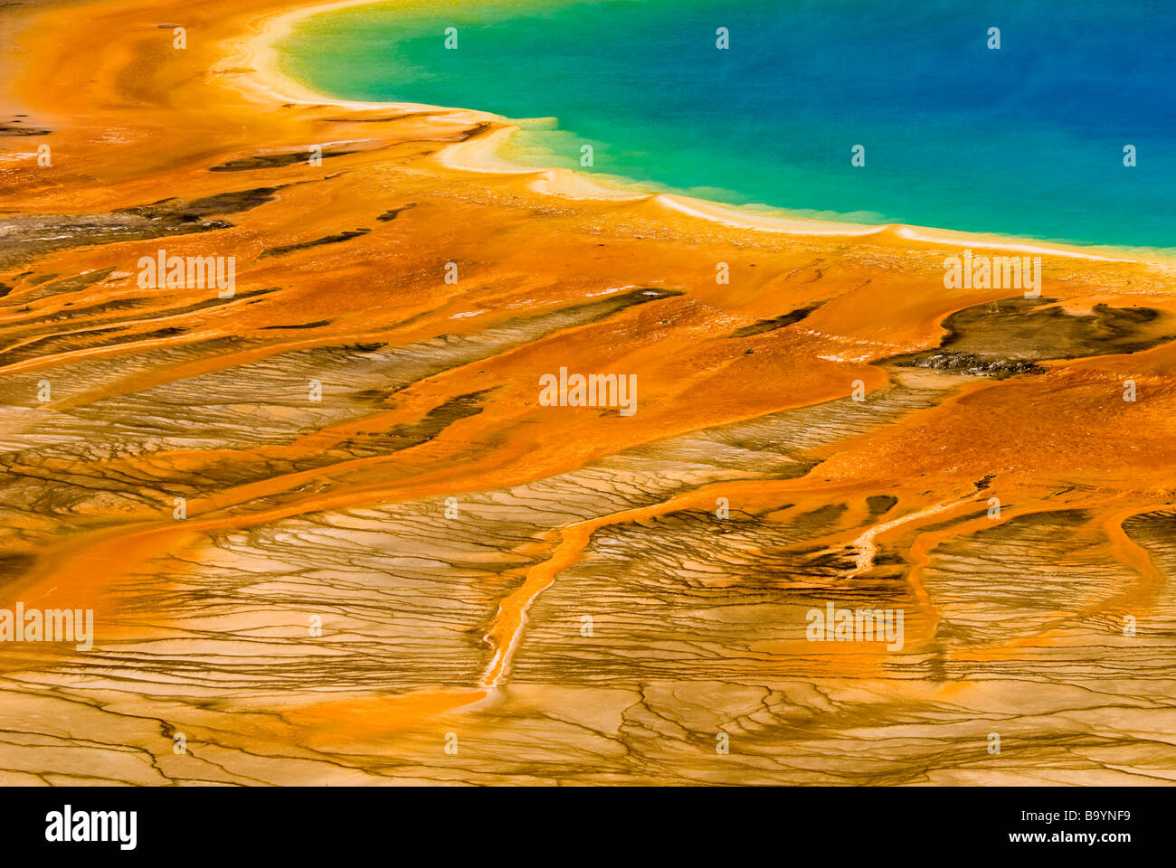 Grand Prismatic Spring, el Parque Nacional de Yellowstone. Foto de stock