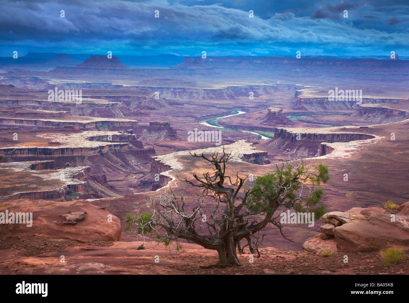 Green River dan a la isla en el cielo Barrio Parque Nacional Canyonlands cerca de Moab, Utah Foto de stock