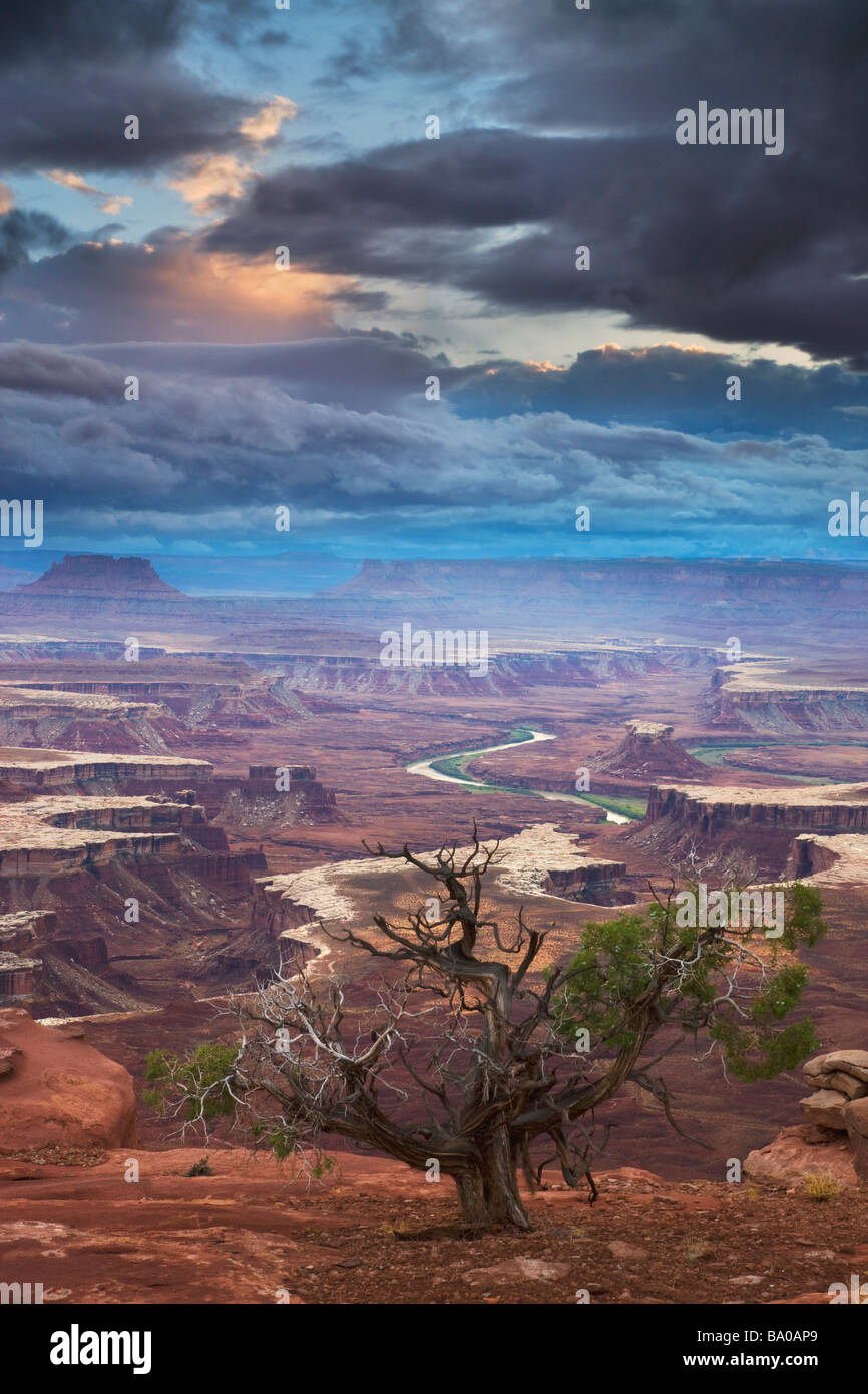 Green River dan a la isla en el cielo Barrio Parque Nacional Canyonlands cerca de Moab, Utah Foto de stock