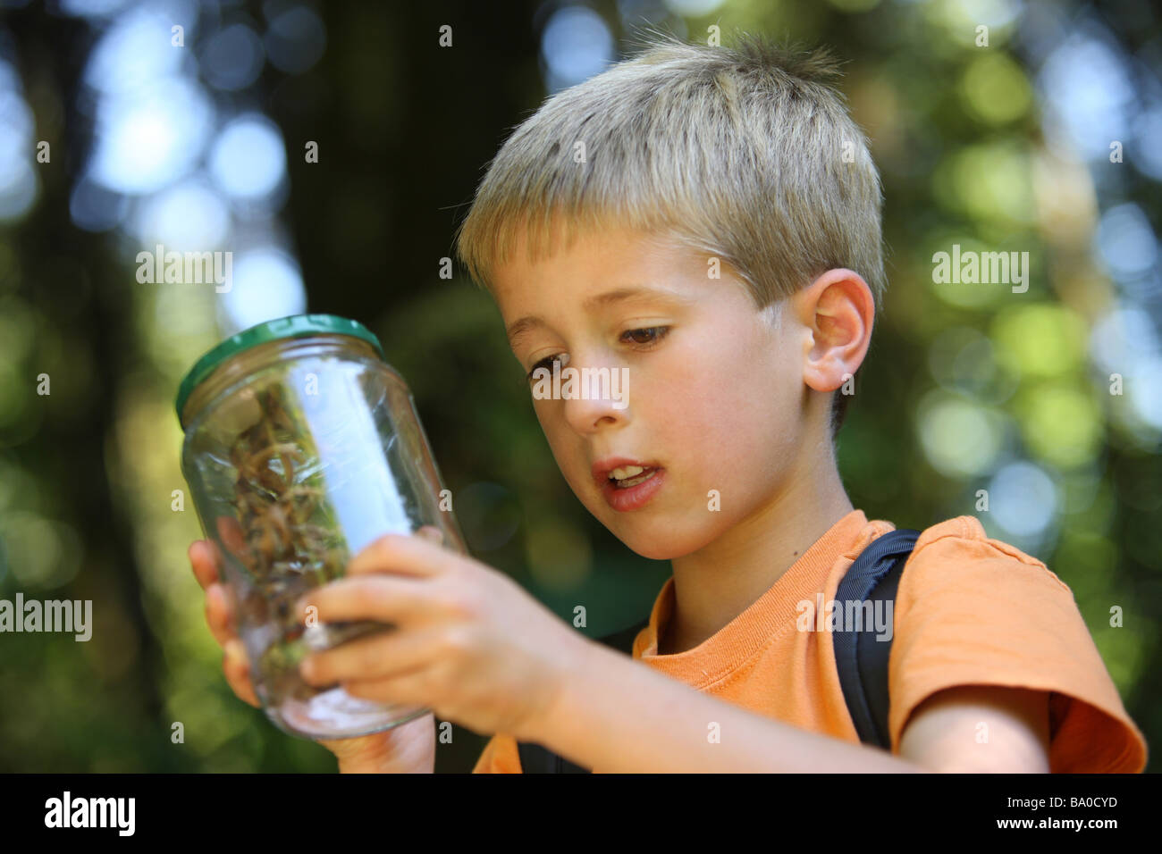 Niño sostiene un frasco con insecto Foto de stock