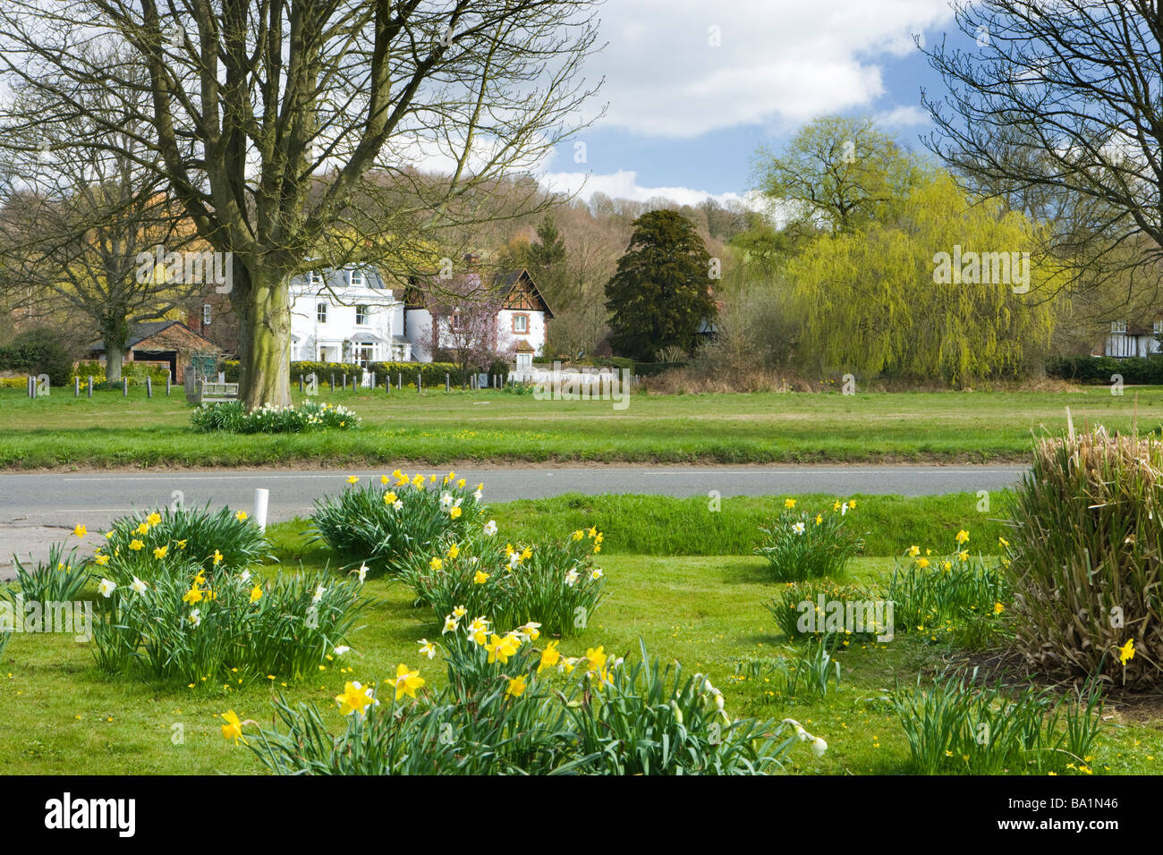 Vista a través de village green en Shamley Green, Surrey, Reino Unido. Foto de stock