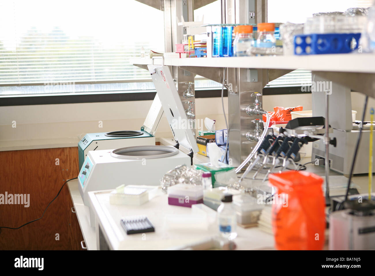 Laboratorio de biotecnología de investigación banco con ventana y pipetas y microfuge Foto de stock