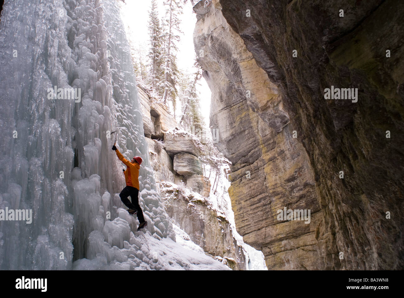 Escalador hembra explora la escalada en hielo en el estrecho de cañón Maligne en el Parque Nacional de Jasper, Alberta, Canadá Foto de stock